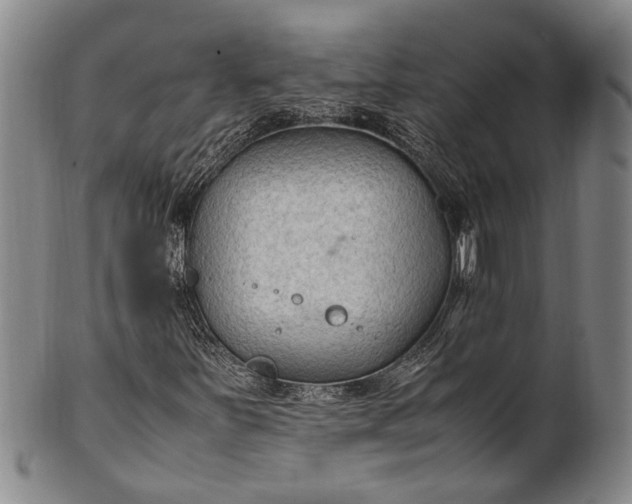 X0000102251251200808081403