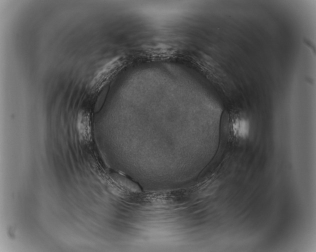 X0000102251252200808081403