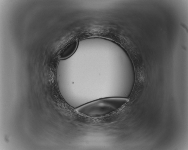 X0000102251253200808081403