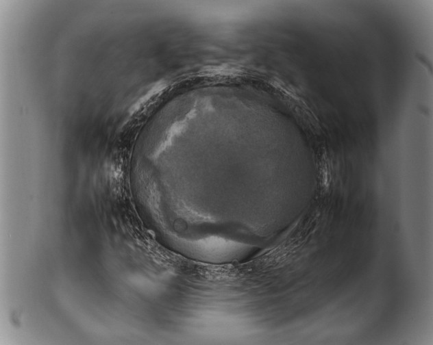 X0000102251254200808081403