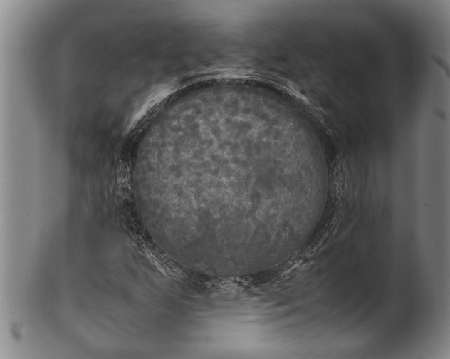 X0000102251255200808081403