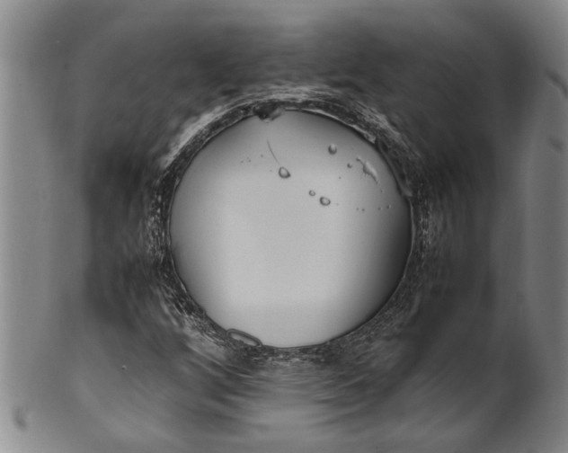 X0000102251256200808081403