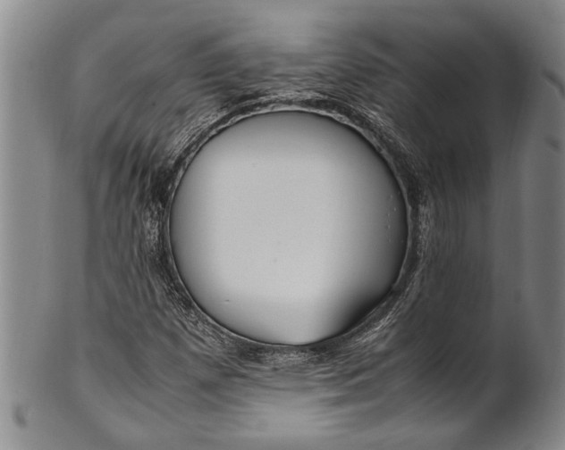 X0000102251257200808081403