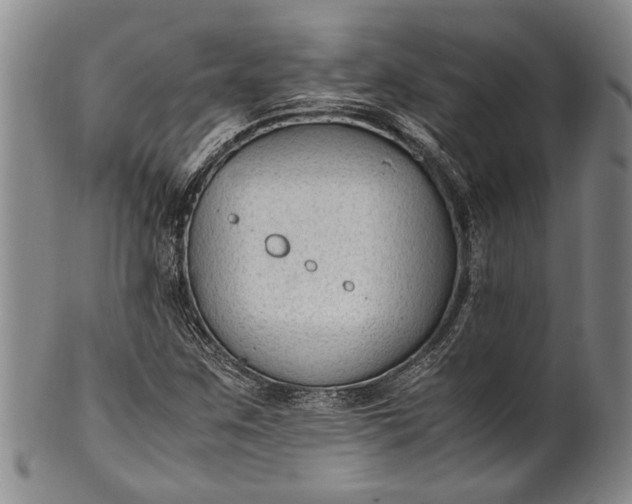 X0000102251259200808081403