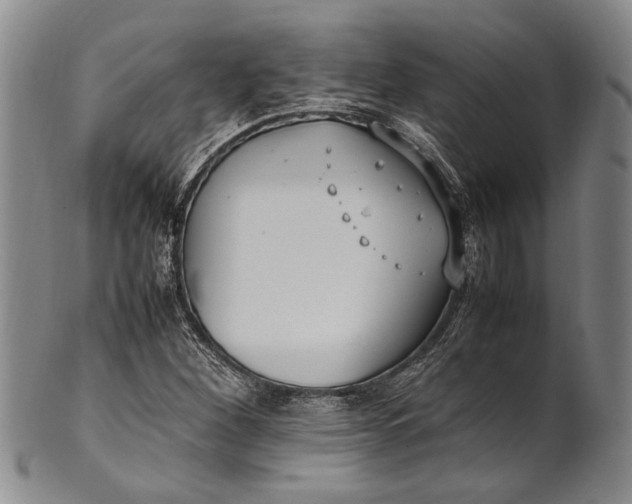 X0000102251260200808081403