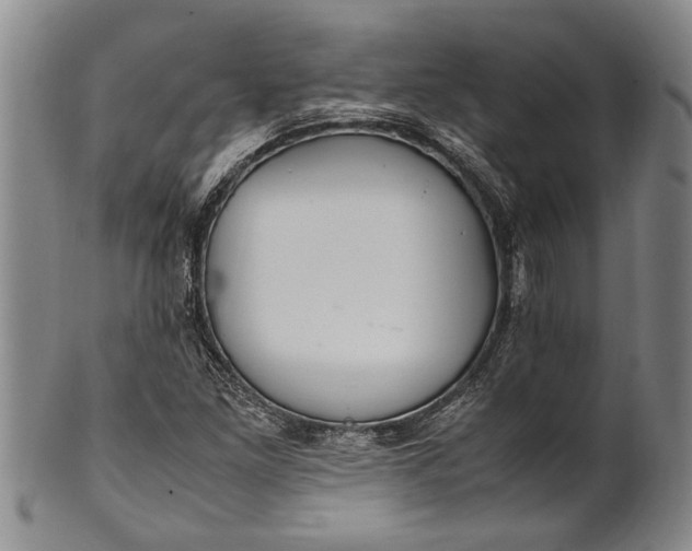 X0000102251261200808081403