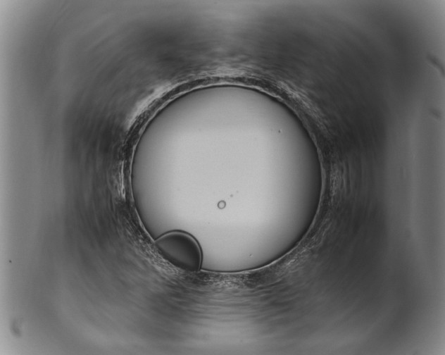 X0000102251262200808081403