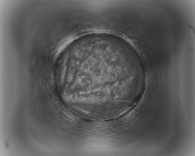 X0000102251263200808081403