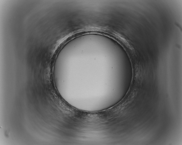 X0000102251264200808081403