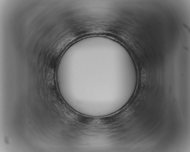 X0000102251265200808081403