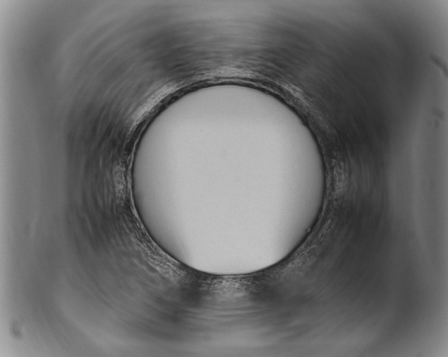 X0000102251266200808081403