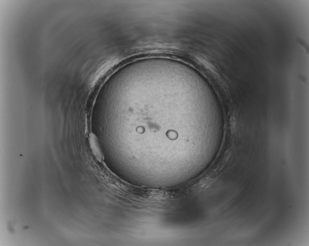 X0000102251267200808081402