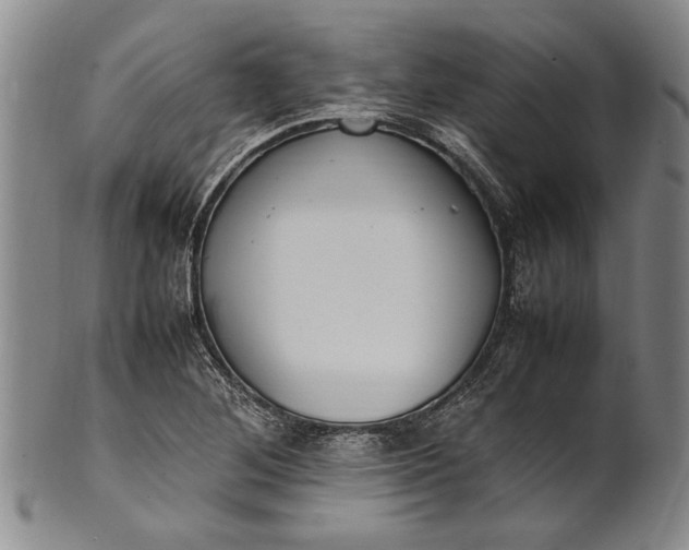 X0000102251268200808081402