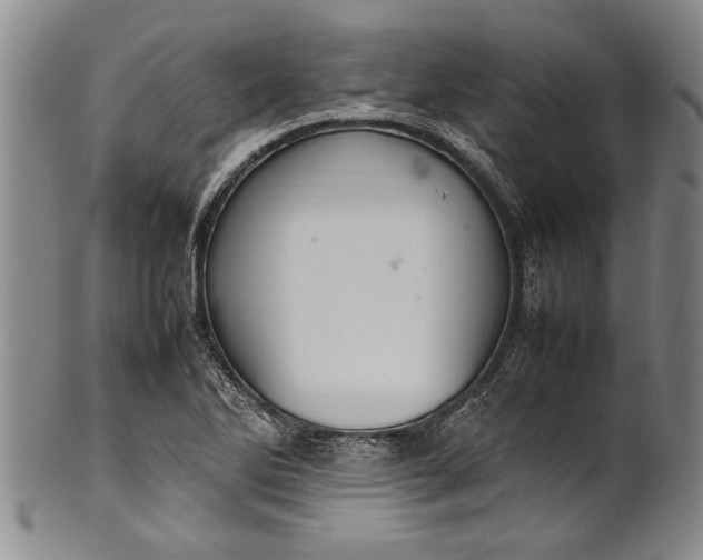 X0000102251270200808081402