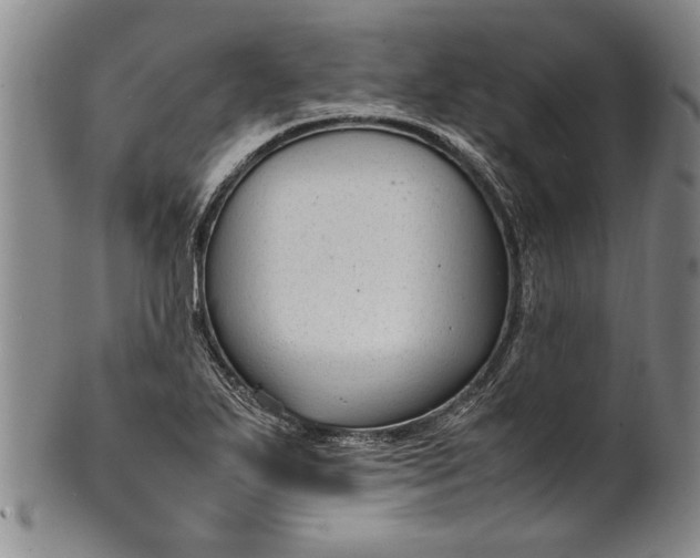 X0000102251271200808081402