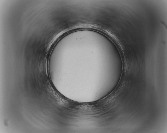 X0000102251272200808081402