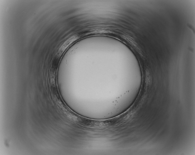 X0000102251273200808081402