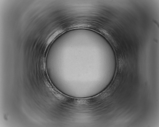 X0000102251274200808081402