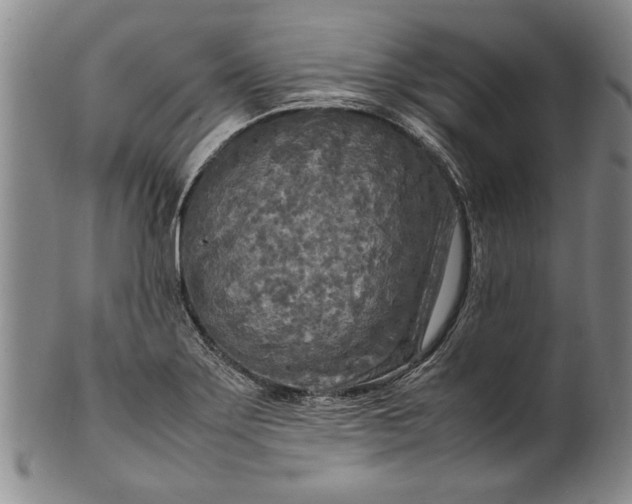 X0000102251275200808081402