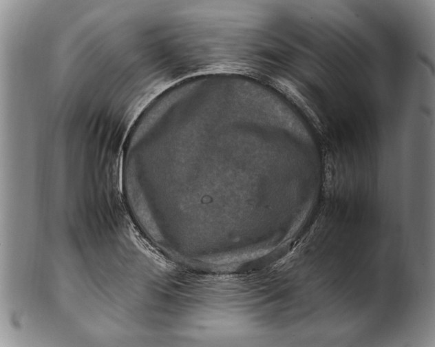 X0000102251276200808081402