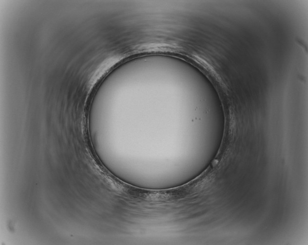 X0000102251277200808081402