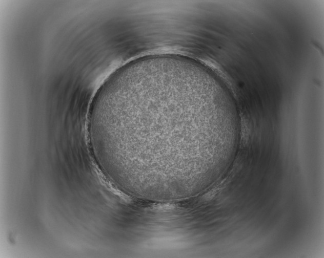 X0000102251278200808081402