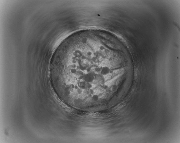 X0000102251279200808081402