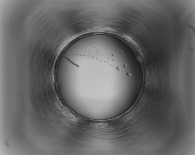 X0000102251280200808081402