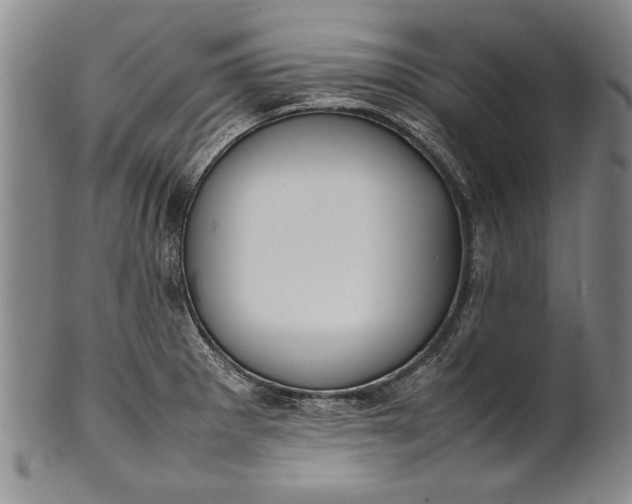 X0000102251281200808081402