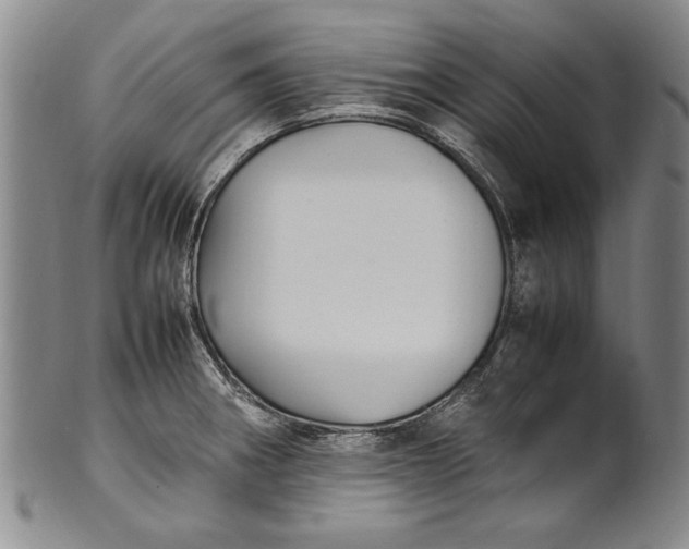 X0000102251282200808081402