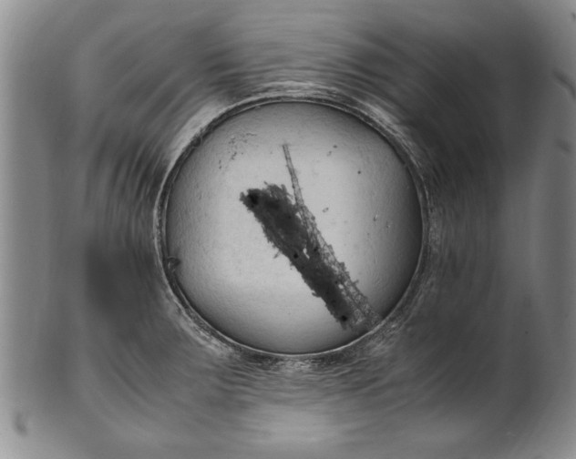 X0000102251283200808081402