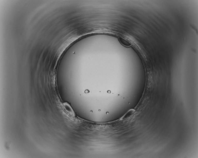 X0000102251284200808081402