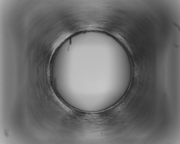 X0000102251285200808081402