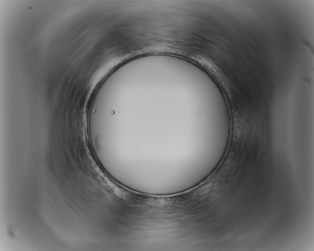 X0000102251286200808081402