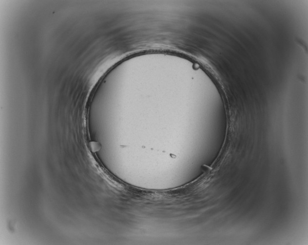 X0000102251287200808081402