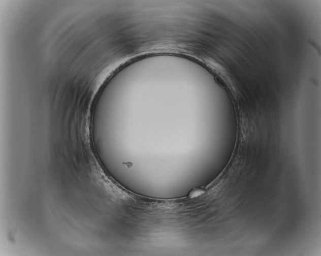 X0000102251288200808081402