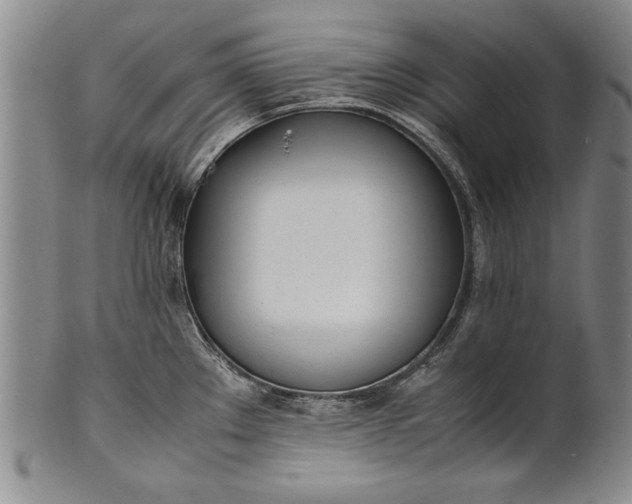 X0000102251289200808081402