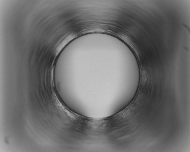 X0000102251290200808081402