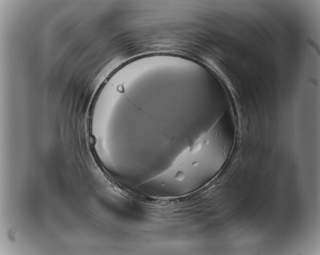 X0000102251291200808081402