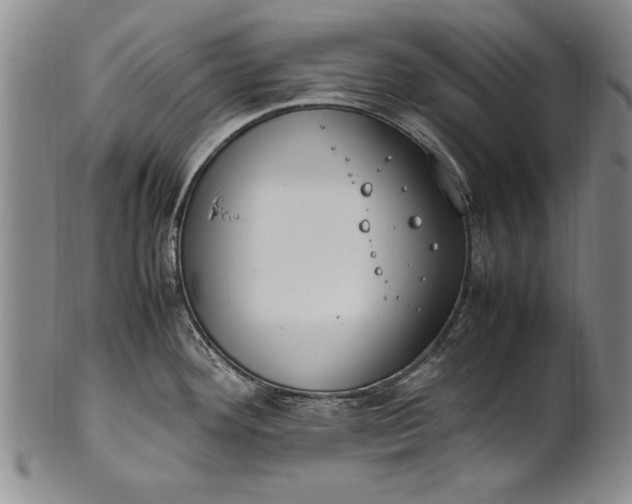 X0000102251292200808081402