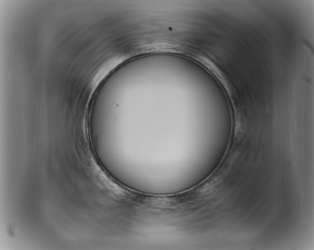 X0000102251293200808081402