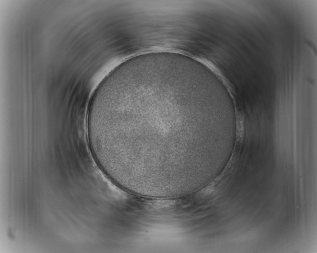 X0000102251294200808081402