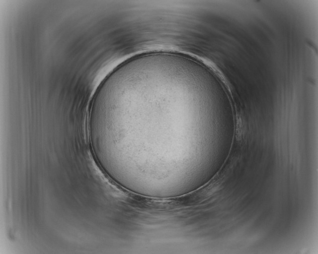 X0000102251295200808081402