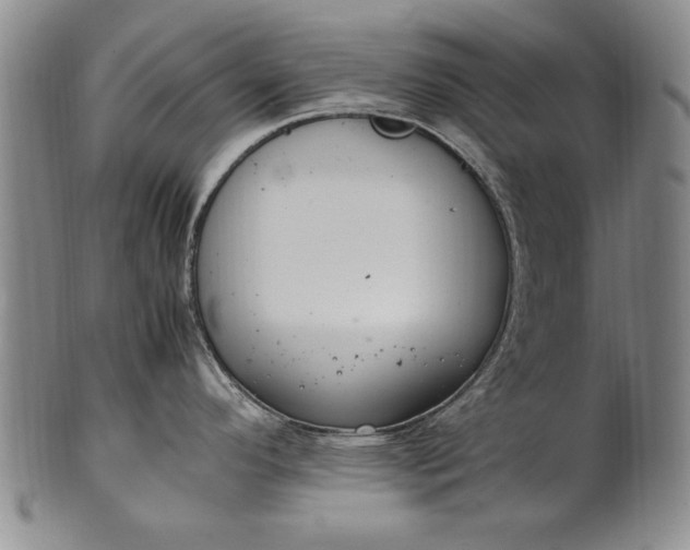 X0000102251296200808081402