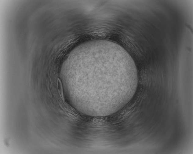 X0000102251297200808081401