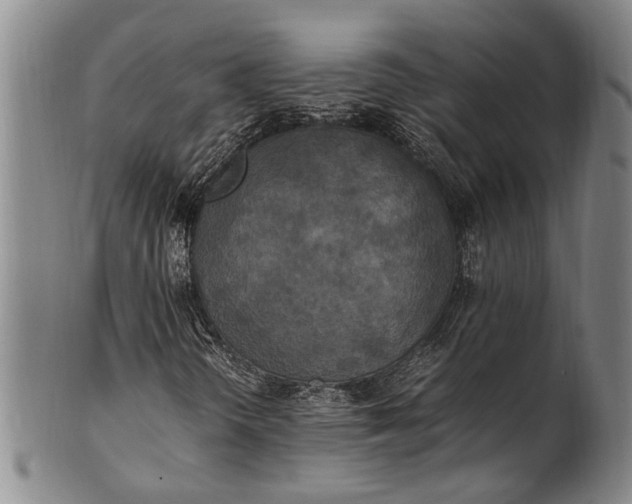 X0000102251298200808081401