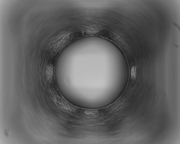 X0000102251299200808081401