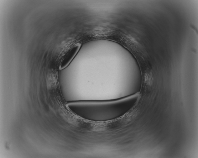 X0000102251300200808081401