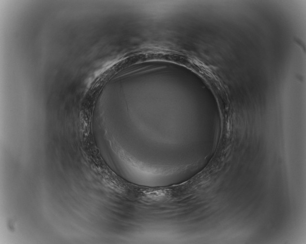 X0000102251303200808081401