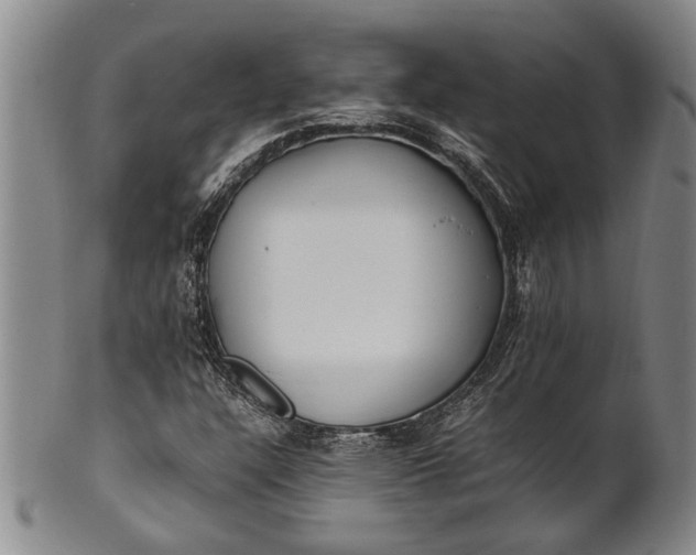 X0000102251304200808081401